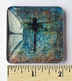 Dragonfly on Blue Bricks Print Acrylic Glass Magnet