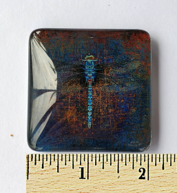 Dragonfly on Purple Backround Print Acrylic Glass Magnet