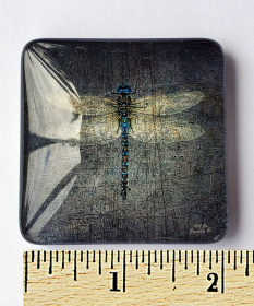 Grey Dragonfly Print Acrylic Glass Magnet