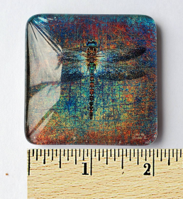 Multicolor Dragonfly Print Acrylic Glass Magnet