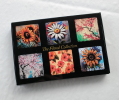 Set of 6 Acrylic Glass Magnets, The Floral Collection