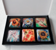 Set of 6 Acrylic Glass Magnets, The Floral Collection