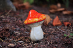 MiniGarden Fairy Garden Miniature Life Size Mushroom Statue