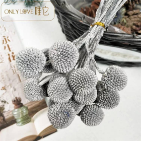 Preserved Globosa Flower (Color: Gray)