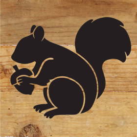 Squirrel Icon... Wood Sign (Color: NR - Natural Reclaimed with Black Print, size: 6x6)