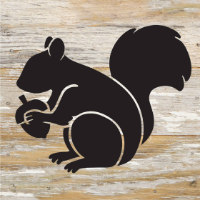 Squirrel Icon... Wood Sign (Color: WR - White Reclaimed with Black Print, size: 6x6)