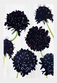 Art Print (Color: Black Scabiosa on Snow, size: large)