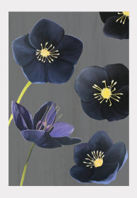 Art Print (Color: Black Hellebore on Charcoal, size: large)