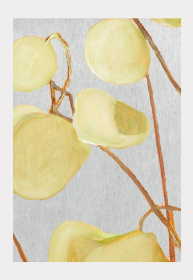 Art Print (Color: Milkweed on Pale Grey, size: small)