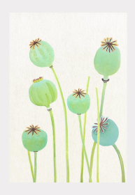 Art Print (Color: Poppy Pods on Ecru, size: small)