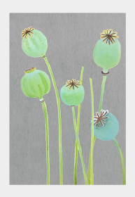 Art Print (Color: Poppy Pods on Grey, size: small)