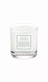 11 oz. Soy Candle (Color: Eucalyptus / Mint, size: One Size)