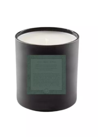 11 oz. Soy Candle (Color: Velvet Moss / Citrus, size: One Size)