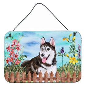 Siberian Husky #2 Accent Decor (Color: Siberian Husky #2, size: 8 x 12)