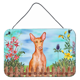 Pharaoh Hound Accent Decor (Color: Pharaoh Hound, size: 8 x 12)