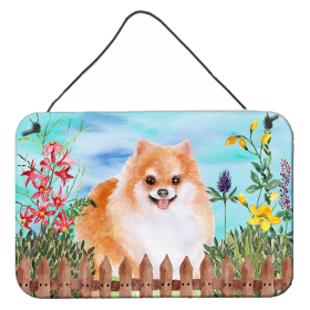 Pomeranian #2 Accent Decor (Color: Pomeranian #2, size: 8 x 12)