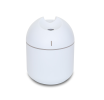 Humidifier Diffuser