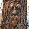 1pc Funny Tree Faces Decor; Old Man Tree Face Decoration; Yard Art