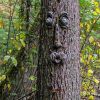 1pc Funny Tree Faces Decor; Old Man Tree Face Decoration; Yard Art