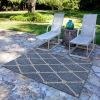 Home Decor Indoor/Outdoor Accent Rug Natural Stylish Classic Pattern Design